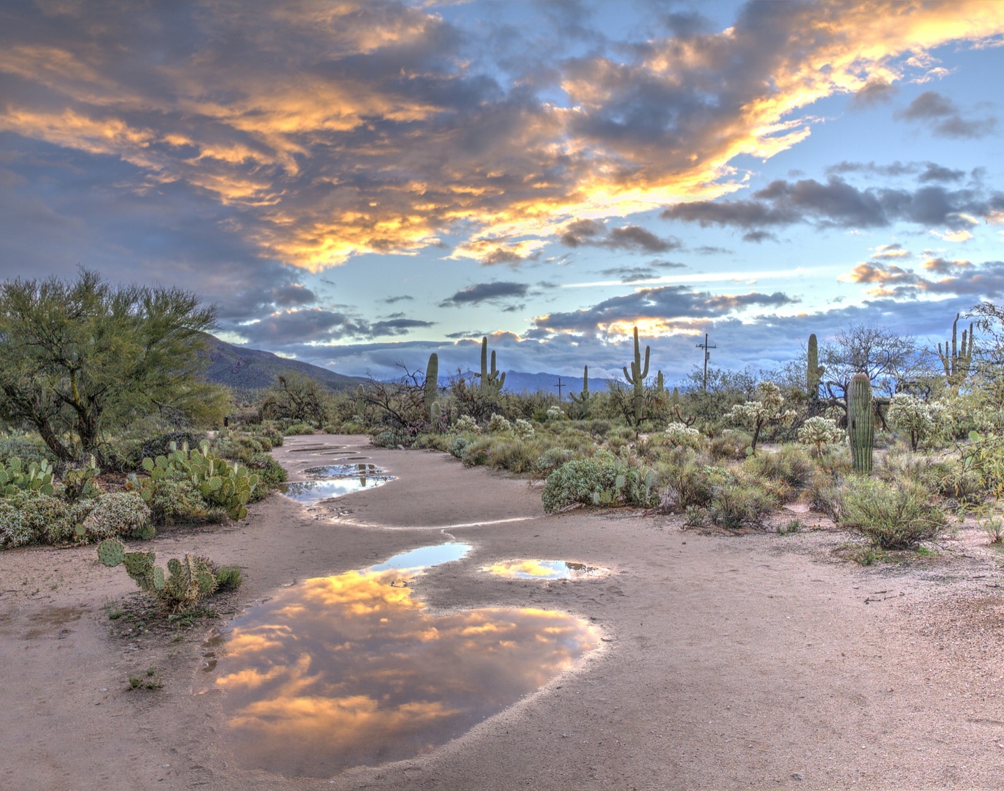 Arizona scenery, desert sunrise at Sabino Canyon