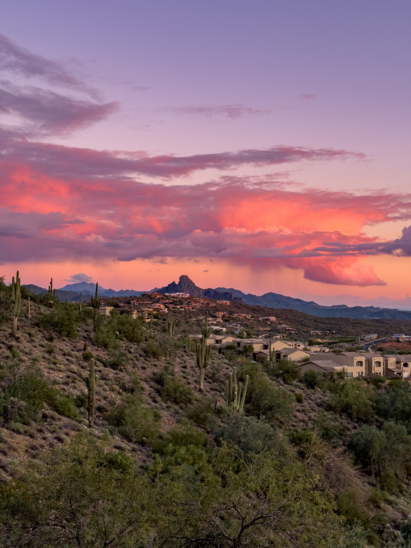 Fountain Hills desert sunset