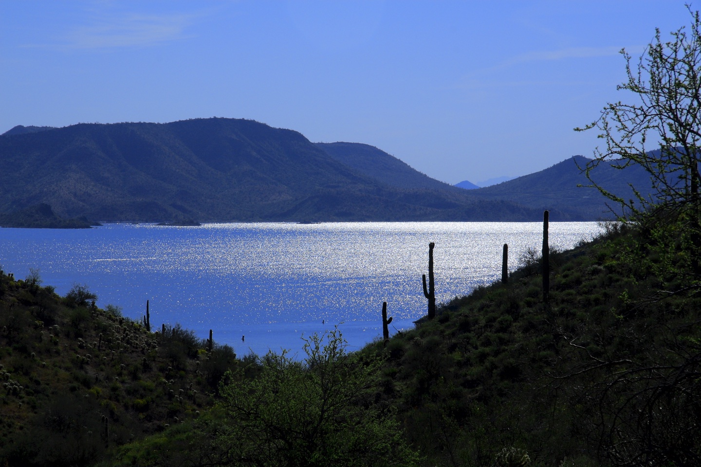 Lake Pleasant from Pipeline Canyon Trail, near Peoria, Arizona