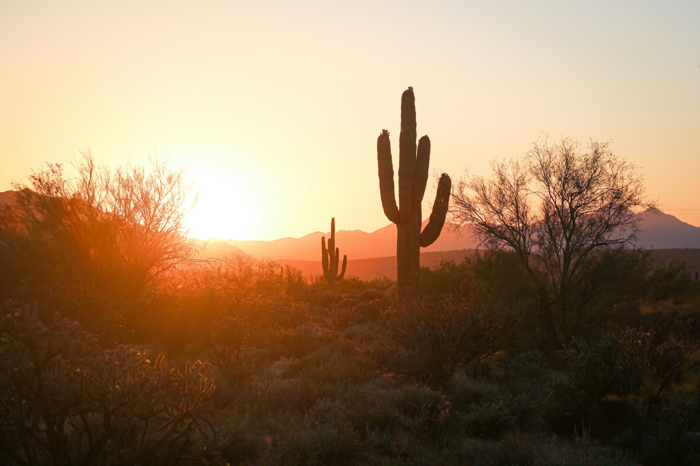 Arizona scenery, desert landscape