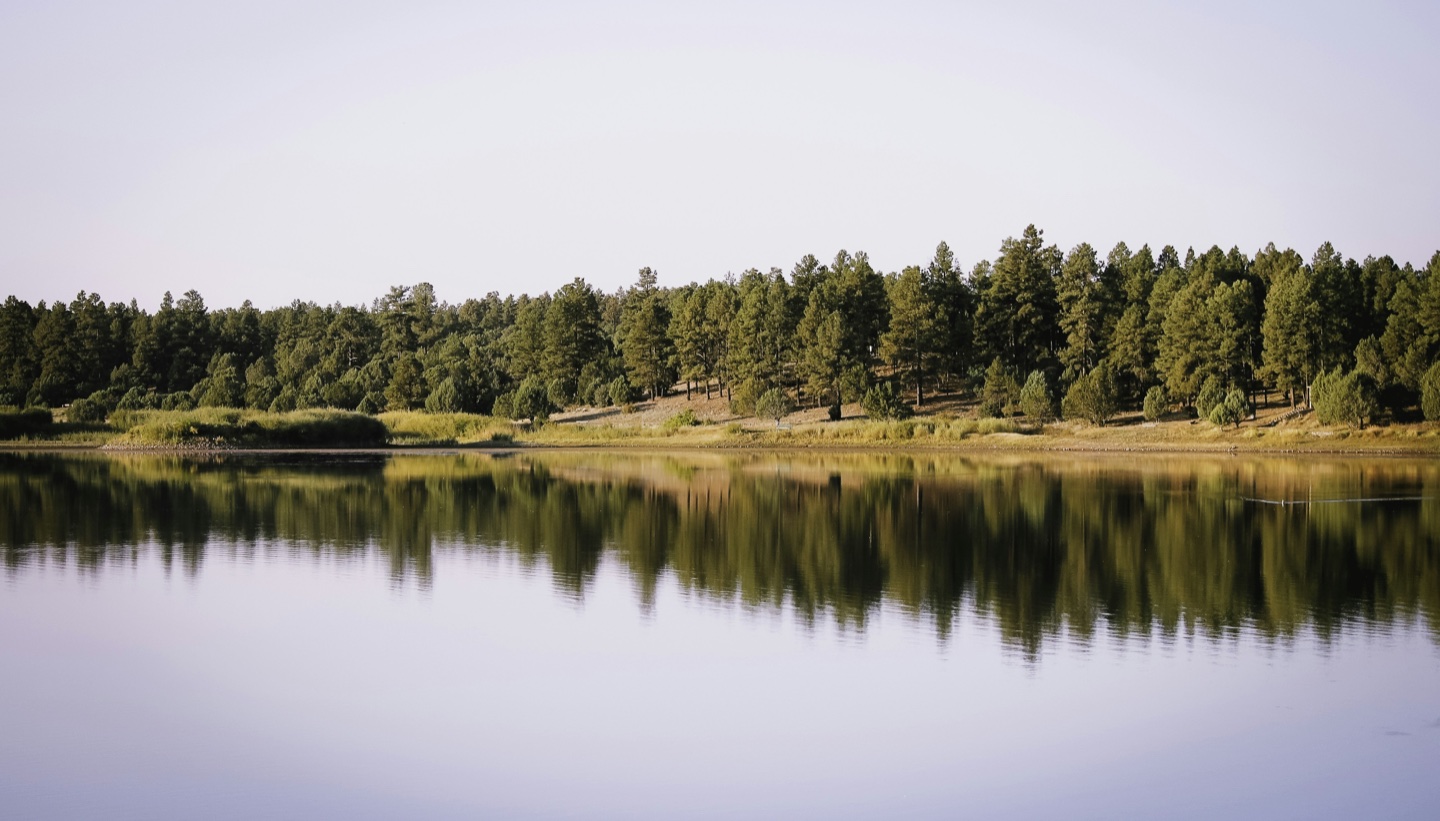 Pine trees reflected in a lake in Show Low, Arizona